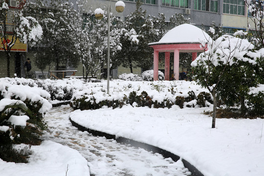 公園雪景