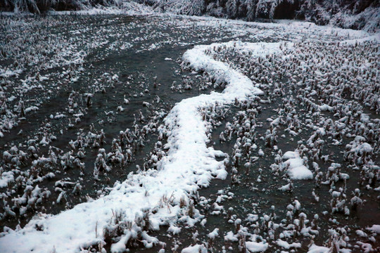 雪景