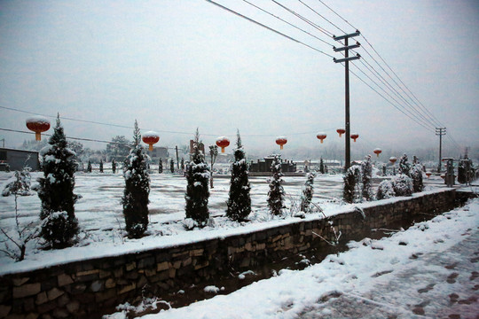 雪景