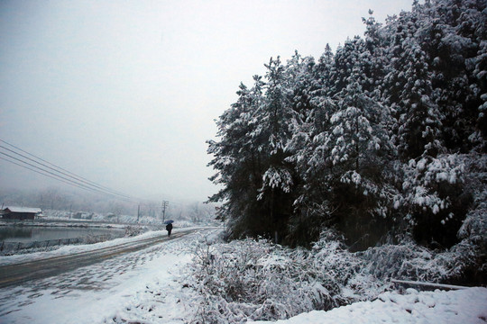 雪景