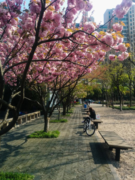 春天的公園