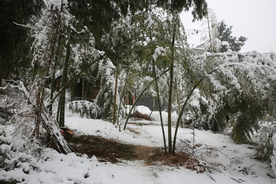 雪景