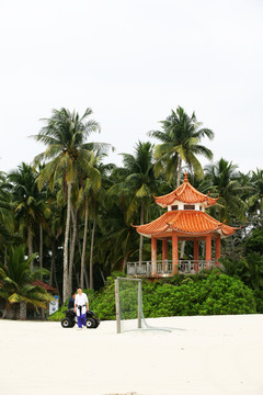椰子樹(shù)