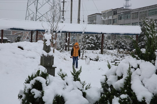 雪景
