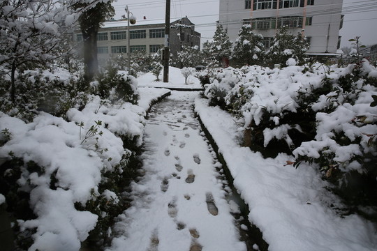 公園雪景