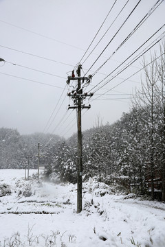 電桿