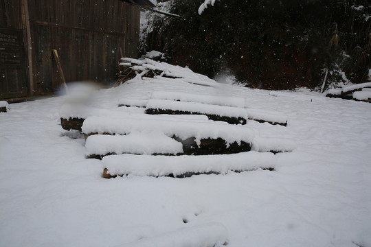 雪景