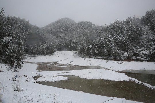 雪景