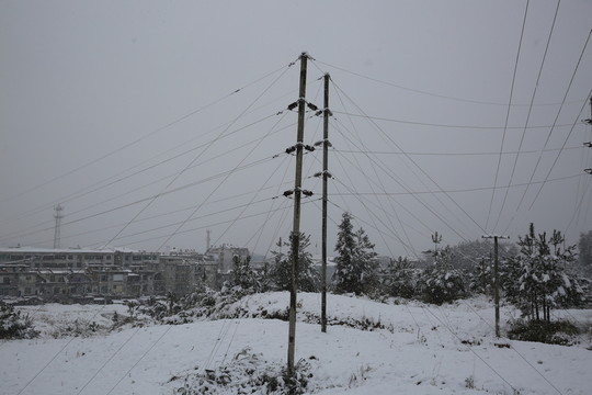 電桿