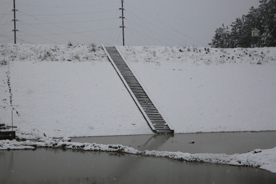 雪景