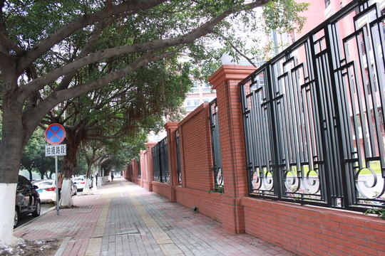 馬路