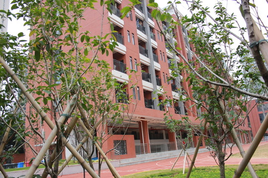 學(xué)校