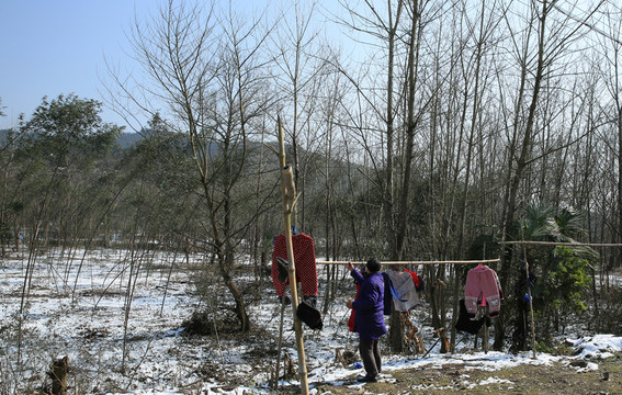 農(nóng)村小景
