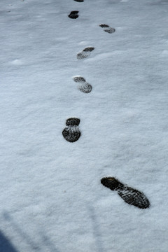 雪地腳印