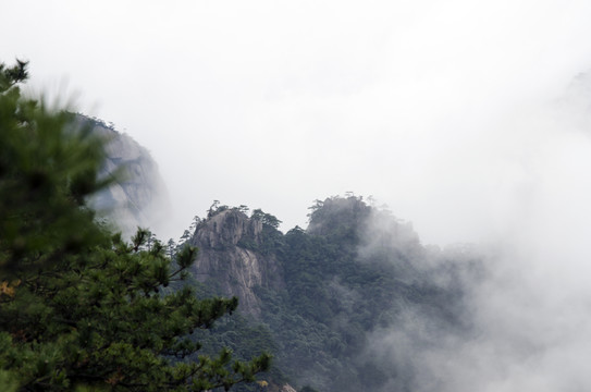 黃山 云海 奇松