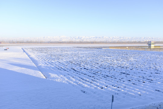 冬雪