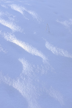 白雪