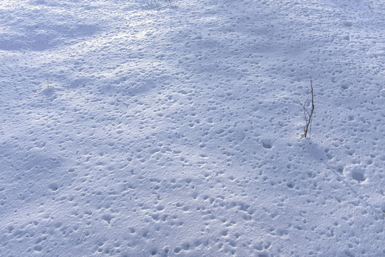 雪地