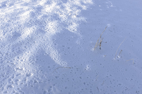 白雪