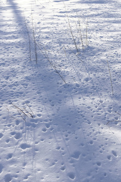 雪地