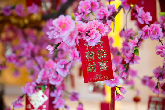 發(fā)財(cái)樹 紅包