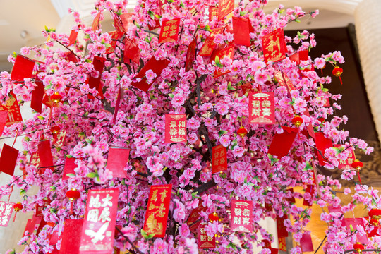 發(fā)財(cái)樹 紅包樹