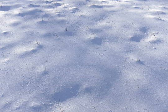 雪地