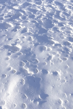 冬雪