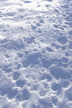 冬雪