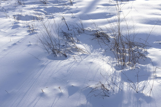 白雪
