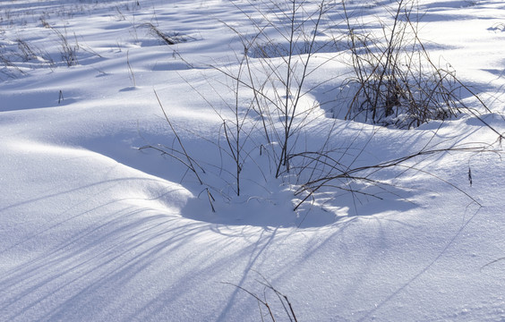 雪地