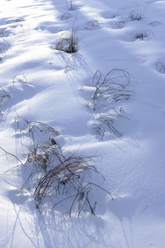 雪景