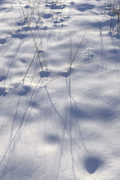 雪景
