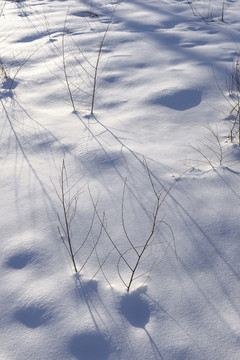 雪