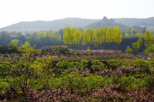 田園風(fēng)光