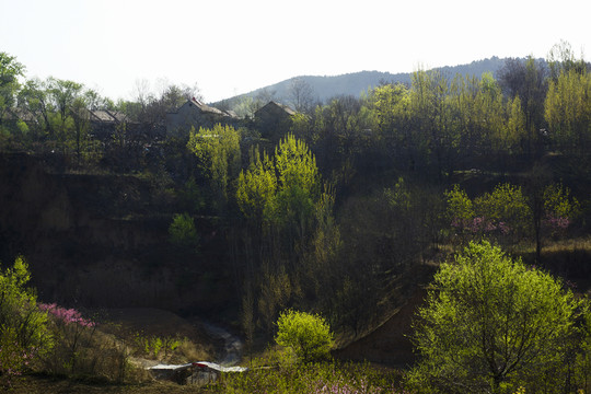 田園春色