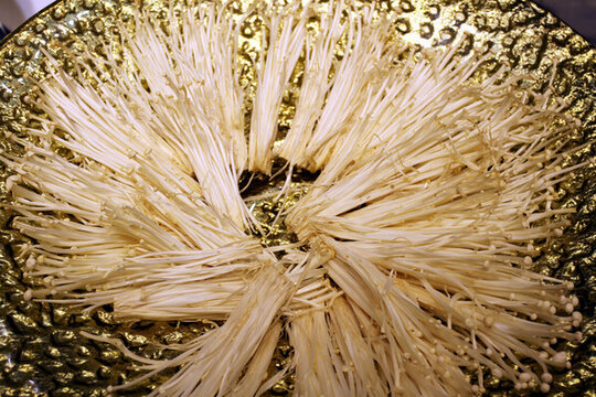 金針磨 蘑菇