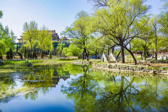 公園春色