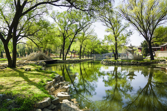 公園春色