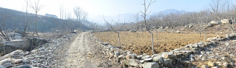 田園田野 田地