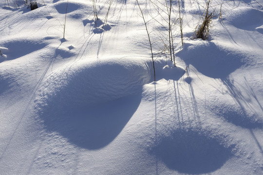 冬雪