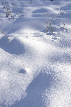 冬雪