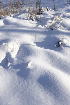 雪地