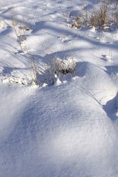 冬雪