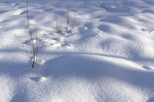 冬雪