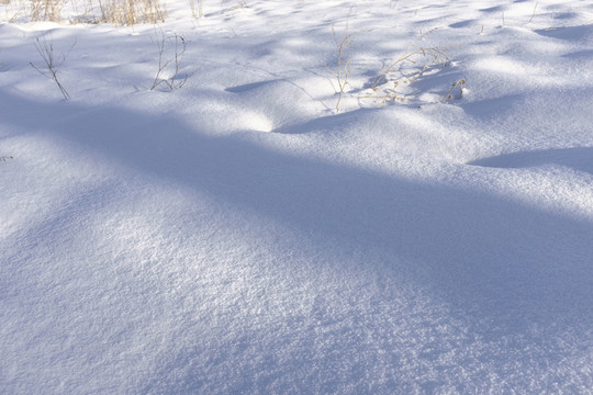 雪地