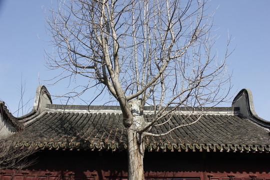 嘉興老街