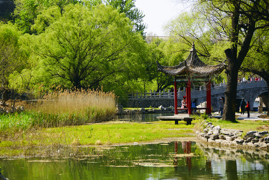 春天的范公亭公園