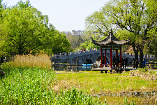 春天的范公亭公園