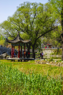 春天的范公亭公園